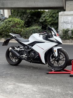 Kayo 250RR Thornbird - ფოტო 2