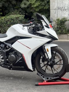 Kayo 250RR Thornbird - ფოტო 3