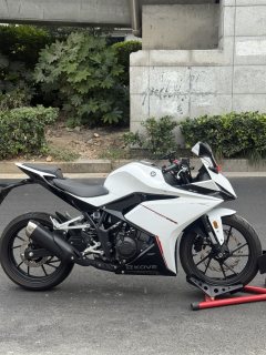 Kayo 250RR Thornbird - ფოტო 4
