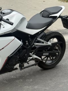 Kayo 250RR Thornbird - ფოტო 6
