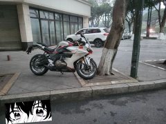 QJMOTOR Roewe i5 550 / Sai 550 *(Context-dependent, usually referring to the motorcycle "Sai 550" or Roewe car v - photo 1