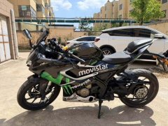 QJMOTOR SRK 250 - photo 9