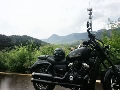 QJMOTOR Flash 250 - фото 2