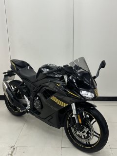 Voge 250RR - ფოტო 2