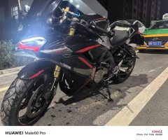 QJMOTOR Sai 600 - photo 3
