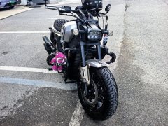 QJMOTOR Shan 600 560 cc - ფოტო 3