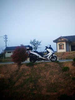 KYMCO Xingting 250 - ფოტო 4