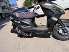 Baodiao BD125T-6E - ფოტო 2