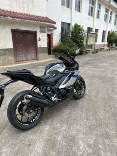 Yamaha YZF-R3 320 cc - photo 5