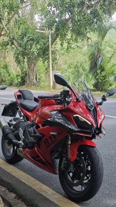 QJMOTOR 600 680 cc - фото 2