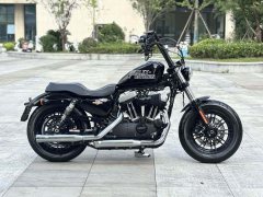 Harley-Davidson Forty-Eight athlete 1202 cc - photo 2