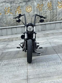 Harley-Davidson Forty-Eight athlete 1202 cc - photo 4