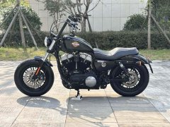 Harley-Davidson Forty-Eight athlete 1202 cc - photo 8