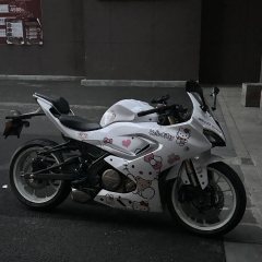 QJMOTOR SRK 250 - ფოტო 1