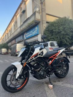 KTMR2R 250 Duke - фото 2