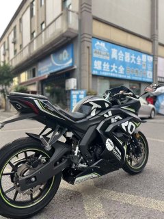 Tairong GP2-200R - ფოტო 4