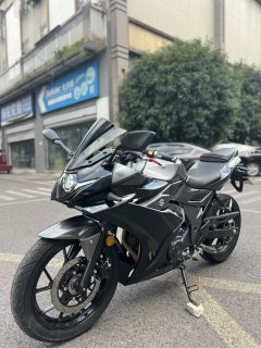 Haojue Suzuki GSX250R - ფოტო 2