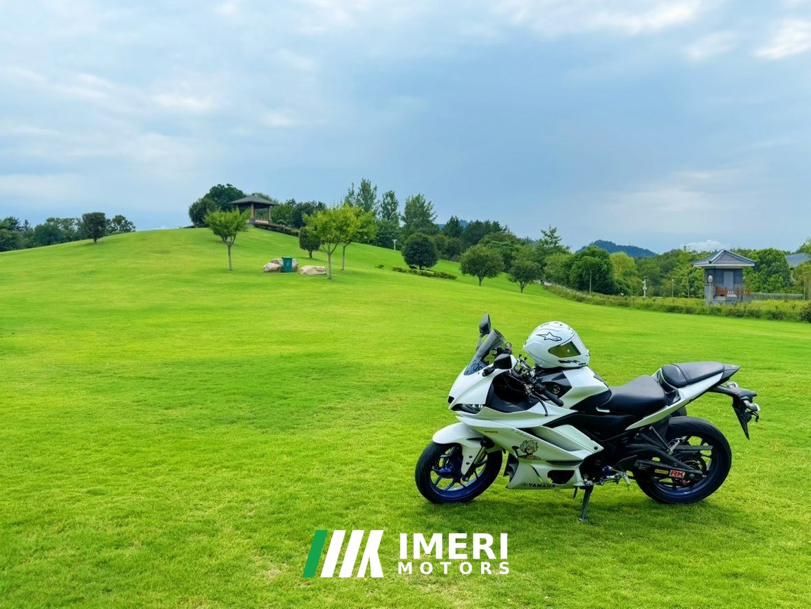 2021 Yamaha YZF-R3 320 cc