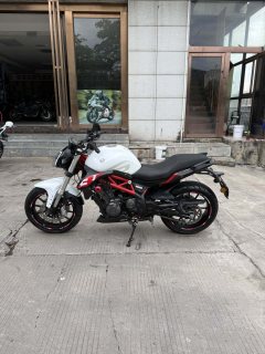 Benelli TNT 300 / BN 302S - ფოტო 8