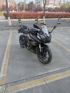 QJMOTOR SRK 250 - ფოტო 3