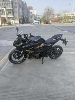 QJMOTOR SRK 250 - ფოტო 5