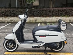 Weiduoliya Sixties 150Si - ფოტო 6