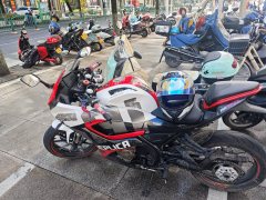 QJMOTOR SRK 250 - фото 1