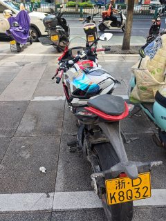 QJMOTOR SRK 250 - фото 2