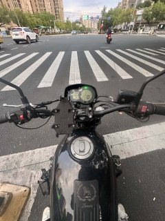 Benelli Lion Cub Leoncino 500 - ფოტო 5