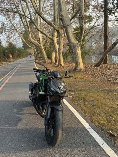 Kawasaki Z1000 - ფოტო 6