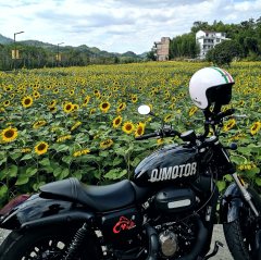QJMOTOR 300 - ფოტო 1