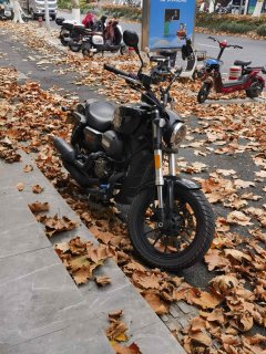 QJMOTOR 300 - ფოტო 2
