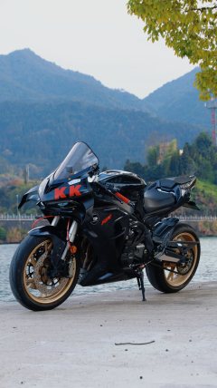 QJMOTOR 600 - ფოტო 4