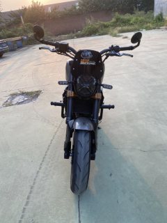 Benelli Leoncino 250 - ფოტო 2