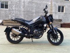 Benelli Leoncino 250 - ფოტო 4