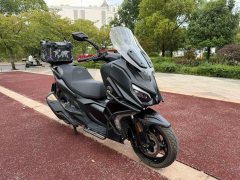 QJMOTOR Hong 350 - фото 1