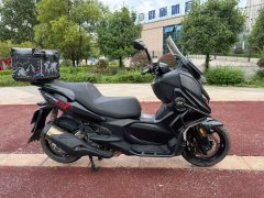 QJMOTOR Hong 350 - фото 4