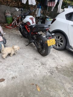 Benelli TNT 300 / BN 302S - photo 2