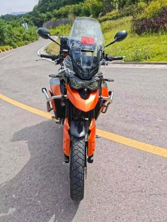 Triumph Tiger 850 900 cc - ფოტო 1
