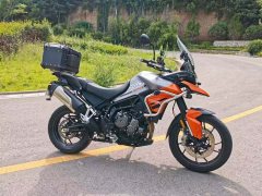 Triumph Tiger 850 900 cc - ფოტო 3