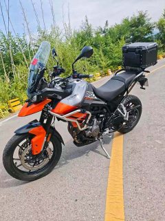 Triumph Tiger 850 900 cc - ფოტო 5