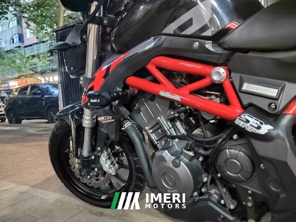 2021 Benelli TNT 300 / BN 302S