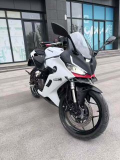 QJMOTOR SRK 250 - ფოტო 5