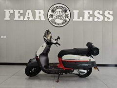Weiduoliya Sixties 250Si - ფოტო 3