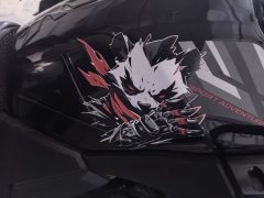 Haojue Suzuki DL250 - ფოტო 9