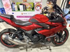 Haojue Suzuki GSX250R - photo 1