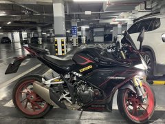 Kayo 321RR 320 cc - фото 2