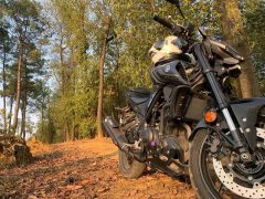 Yamaha MT-03 320 cc - ფოტო 3