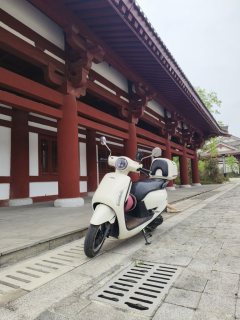 Sundiro Honda NS125LA - photo 2