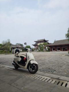 Sundiro Honda NS125LA - photo 3